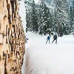 Appartement Haus Alpenkoenig Stubaier Gletscher *