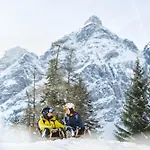 شقة Haus Alpenkoenig Stubaier Gletscher نيوستيف ام ستوبيتا