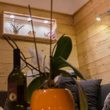Lägenhet Haus Alpenkoenig Exclusive Apartments Near Stubai Glacier Neustift im Stubaital