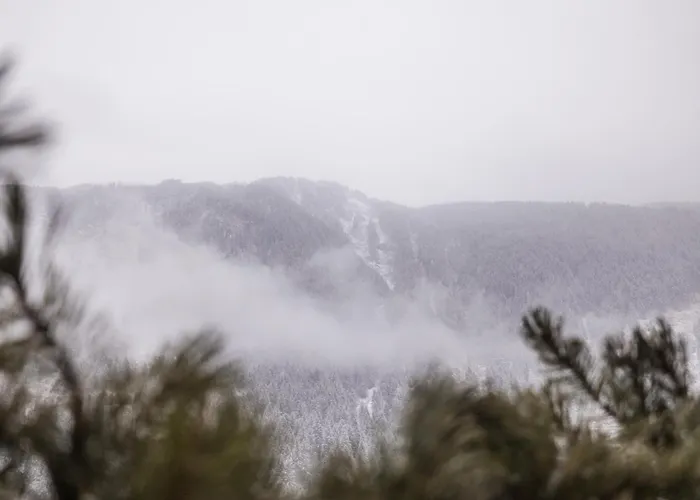 Haus Alpenkoenig Stubaier Gletscher Neustift im Stubaital